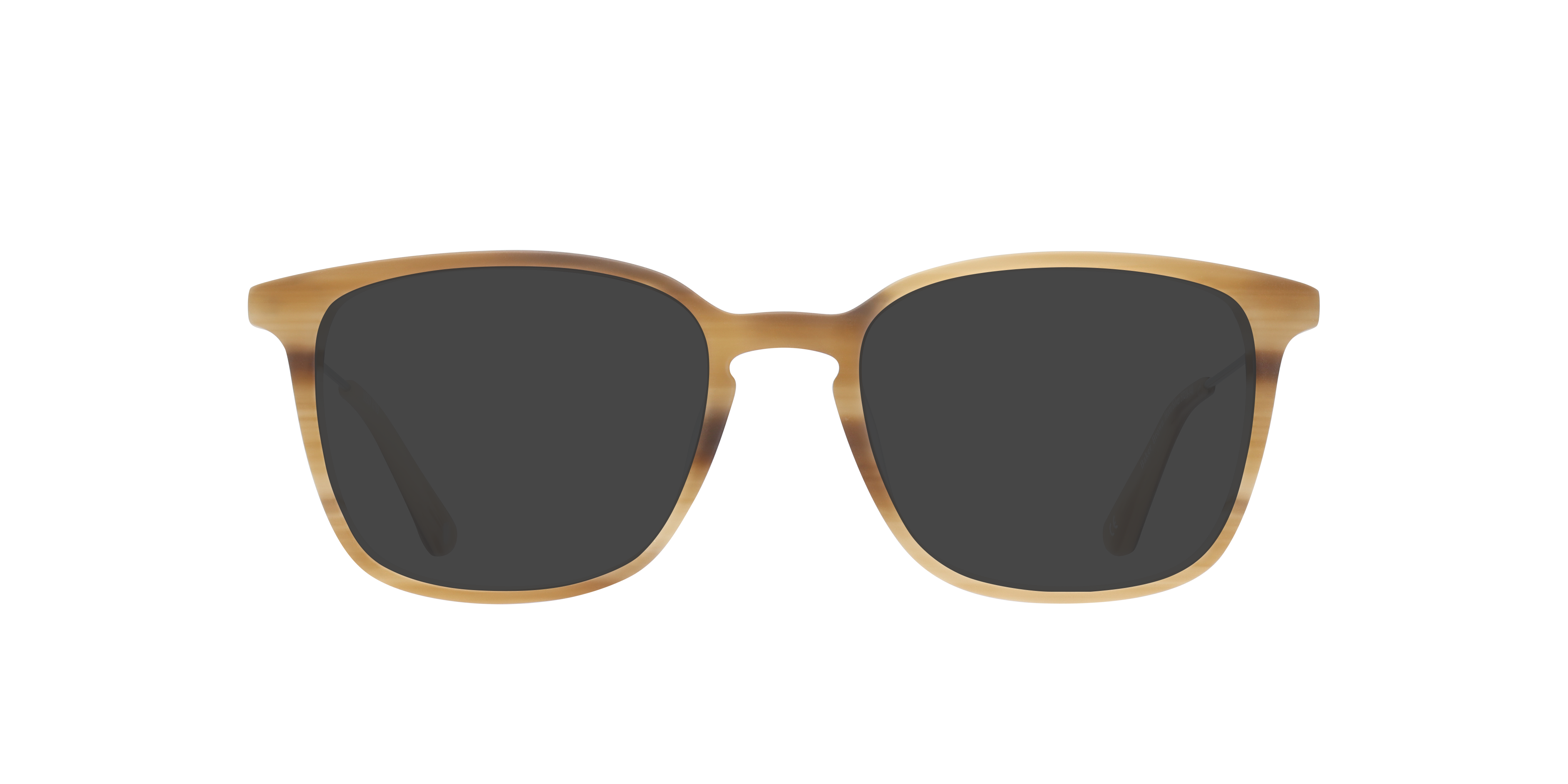 Baker Brown Horn & Silver AcetateEyeglass Frames for Glasses Direct, with Tinted Lenses