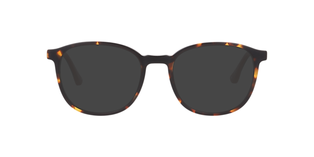 Nb4189 Tortoise Matte AcetateEyeglass Frames for Glasses Direct, with Tinted Lenses