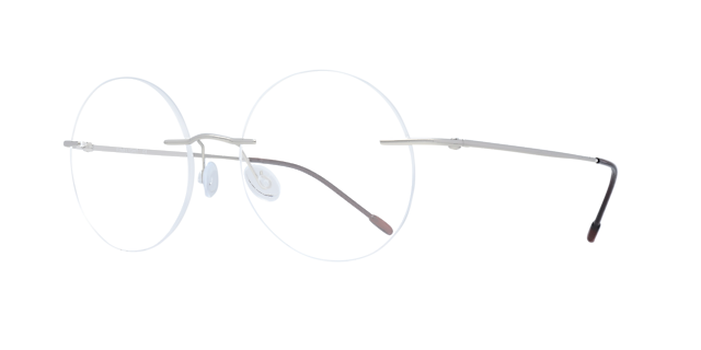 Halo Silver TitaniumEyeglass Frames for Glasses Direct, Angle View