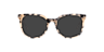 Merlyn Havana Pink AcetateEyeglass Frames for Glasses Direct, with Tinted Lenses
