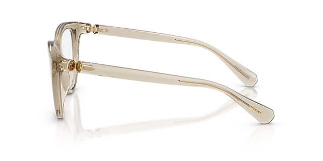 SK2052 Transparent Beige PlasticEyeglass Frames for Glasses Direct, Side View