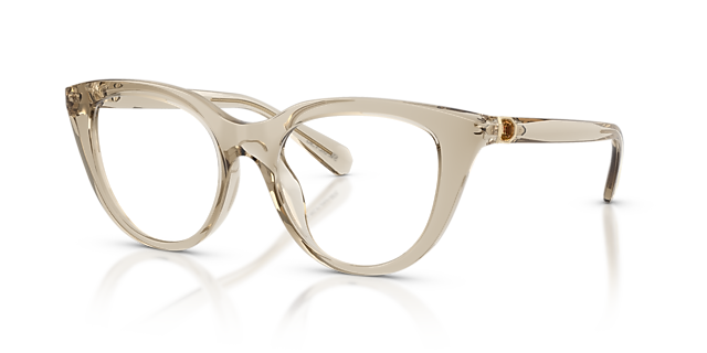SK2052 Transparent Beige PlasticEyeglass Frames for Glasses Direct, Angle View