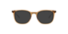 Miles Crystal Brown AcetateEyeglass Frames for Glasses Direct, with Tinted Lenses