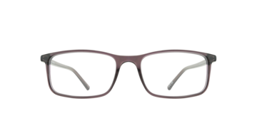 Shiny Purple Leslie -  Plastic Glasses