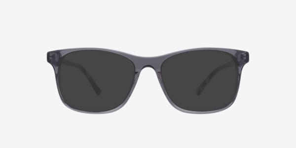 Grey Hunter -  Acetate