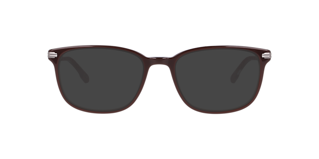 Nb4201 Brown AcetateEyeglass Frames for Glasses Direct, with Tinted Lenses