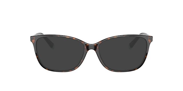 TF2215B Havana On Tiffany Blue AcetateEyeglass Frames for Glasses Direct, with Tinted Lenses