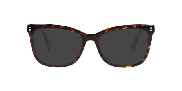 PLD D586 Tortoise AcetateEyeglass Frames for Glasses Direct, with Tinted Lenses