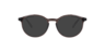 Joe Crystal Brown PlasticEyeglass Frames for Glasses Direct, with Tinted Lenses