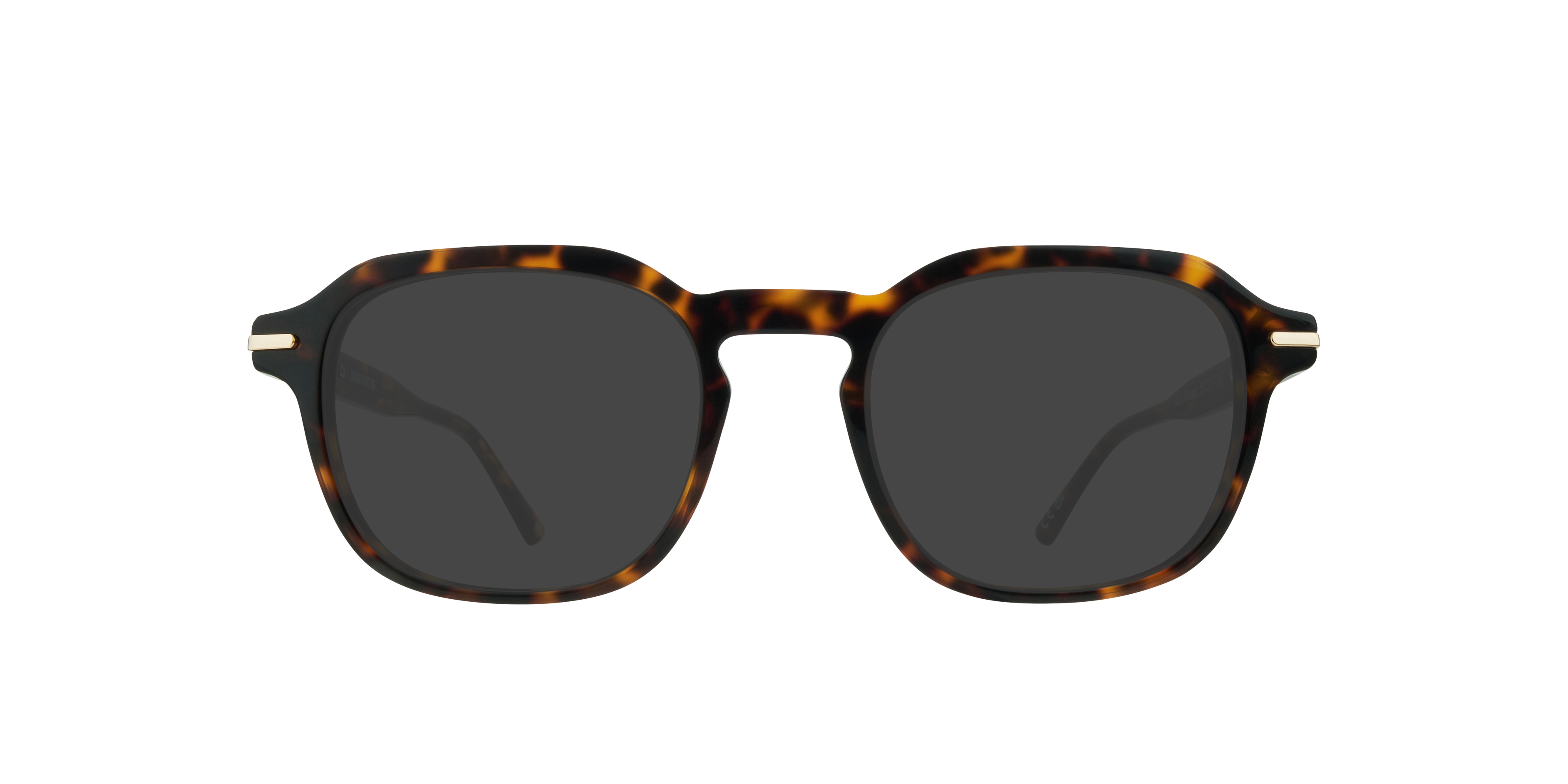 Joel Havana AcetateSunglass Frames for Glasses Direct, with Tinted Lenses