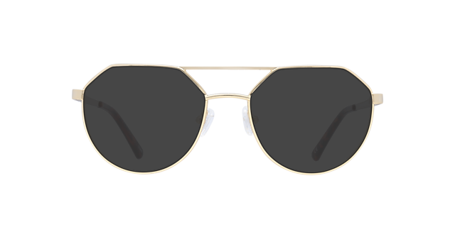 Daly Shiny Gold MetalEyeglass Frames for Glasses Direct, with Tinted Lenses