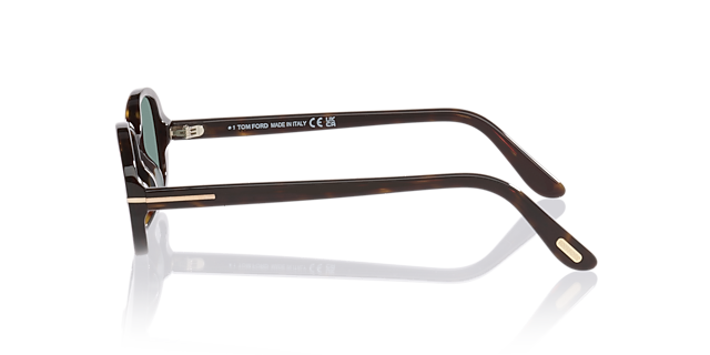 Iggy Tortoise AcetateSunglass Frames for Glasses Direct, Side View