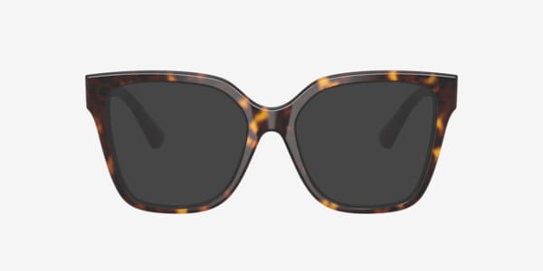 Dark Havana BE2443 -  Acetate