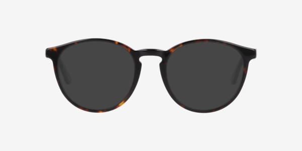 Tortoise Nb4183 -  Acetate