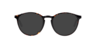 Nb4183 Tortoise AcetateEyeglass Frames for Glasses Direct, with Tinted Lenses