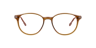 Nb4199 Brown AcetateEyeglass Frames for Glasses Direct, Front View