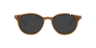 Nb4199 Brown AcetateEyeglass Frames for Glasses Direct, with Tinted Lenses