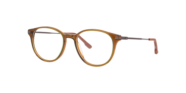 Nb4199 Brown AcetateEyeglass Frames for Glasses Direct, Angle View