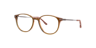 Nb4199 Brown AcetateEyeglass Frames for Glasses Direct, Angle View