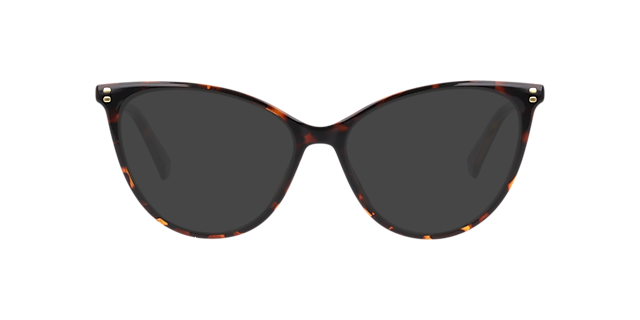 PLD D551 Tortoise PlasticEyeglass Frames for Glasses Direct, with Tinted Lenses