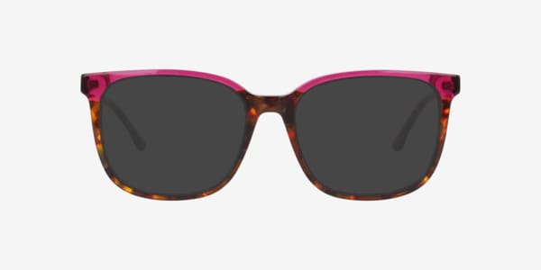 Tortoise Culift -  Acetate