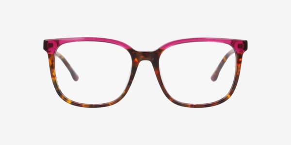 Tortoise Culift -  Acetate