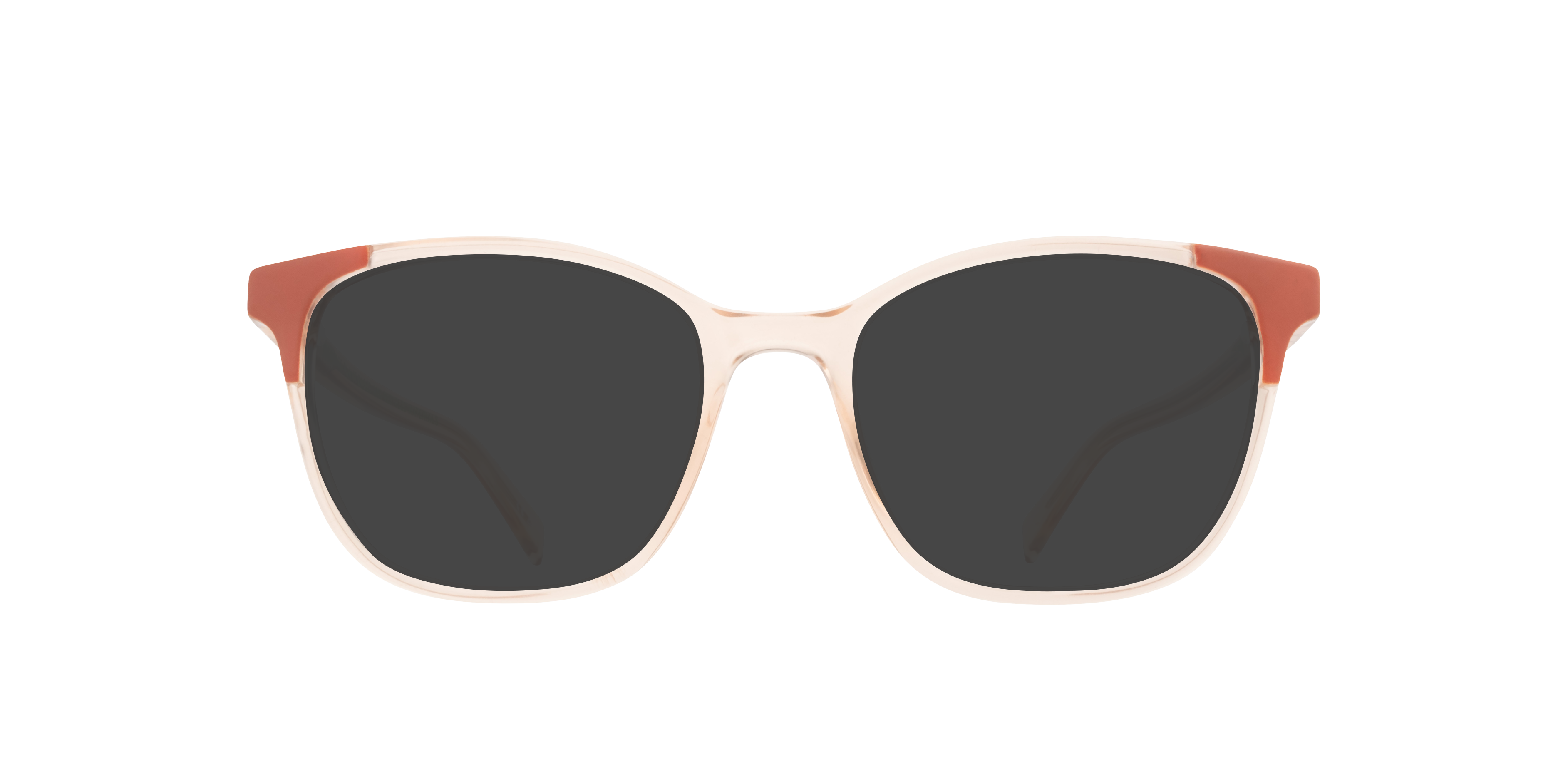 LV 1053 Assorted PlasticEyeglass Frames for Glasses Direct, with Tinted Lenses