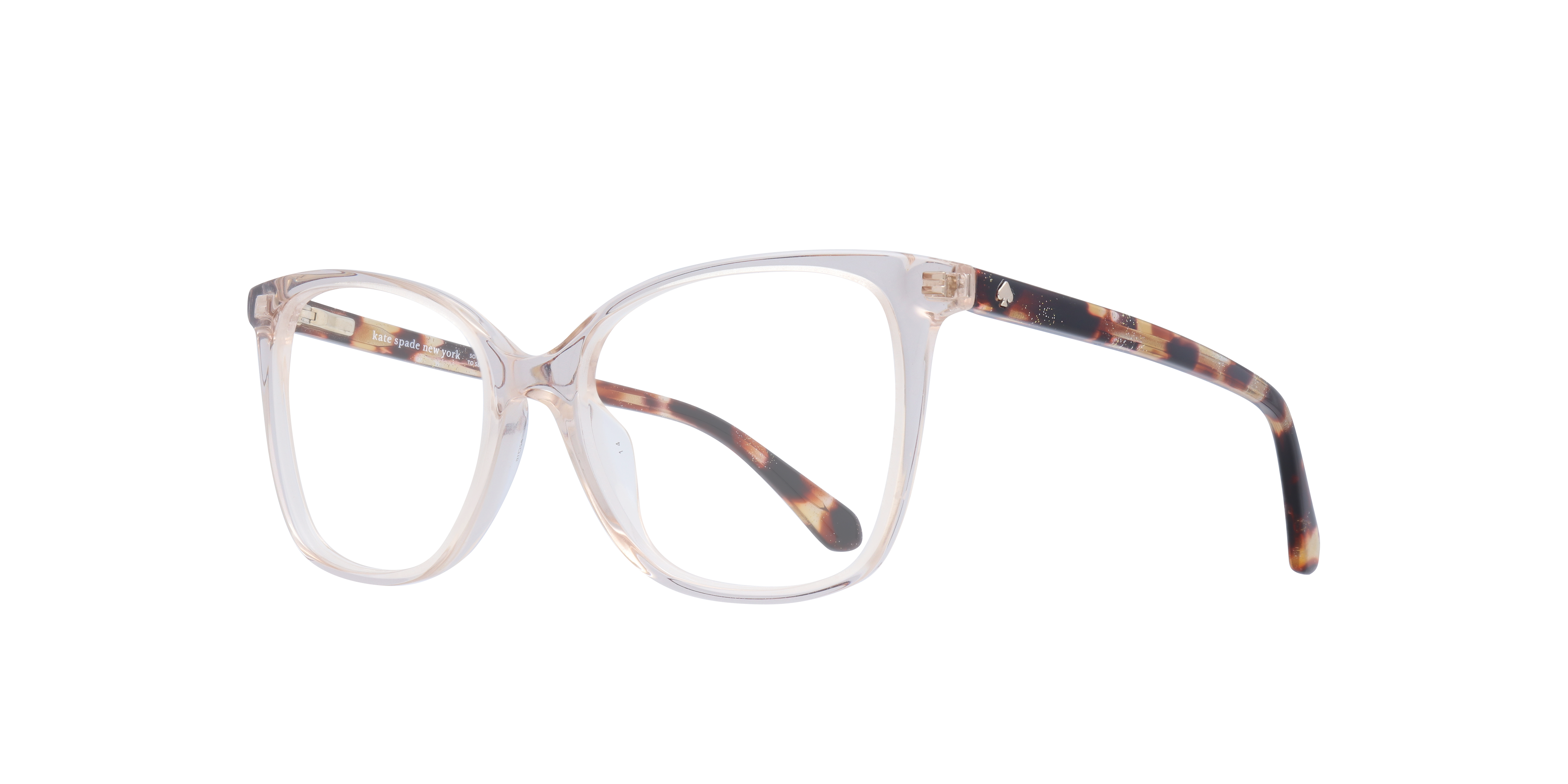 Darcie Clear AcetateEyeglass Frames for Glasses Direct, Angle View