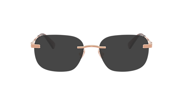 HC5206D Shiny Rose Gold MetalEyeglass Frames for Glasses Direct, with Tinted Lenses