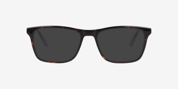 Tortoise Nb4182 -  Acetate