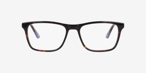 Tortoise Nb4182 -  Acetate