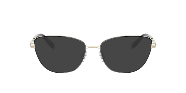 TF1142 Black On Pale Gold MetalEyeglass Frames for Glasses Direct, with Tinted Lenses