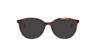 GG1867OK Tortoise AcetateEyeglass Frames for Glasses Direct, with Tinted Lenses