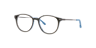 Nb4199 Green AcetateEyeglass Frames for Glasses Direct, Angle View