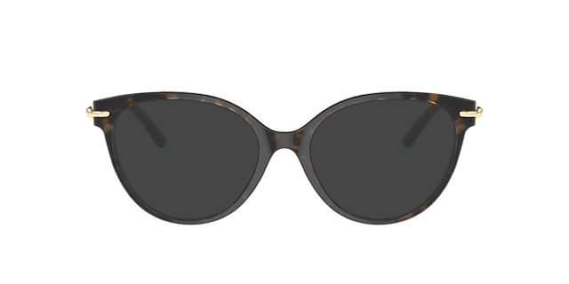 TF2217 Havana On Tiffany Blue AcetateEyeglass Frames for Glasses Direct, with Tinted Lenses