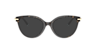 TF2217 Havana On Tiffany Blue AcetateEyeglass Frames for Glasses Direct, with Tinted Lenses
