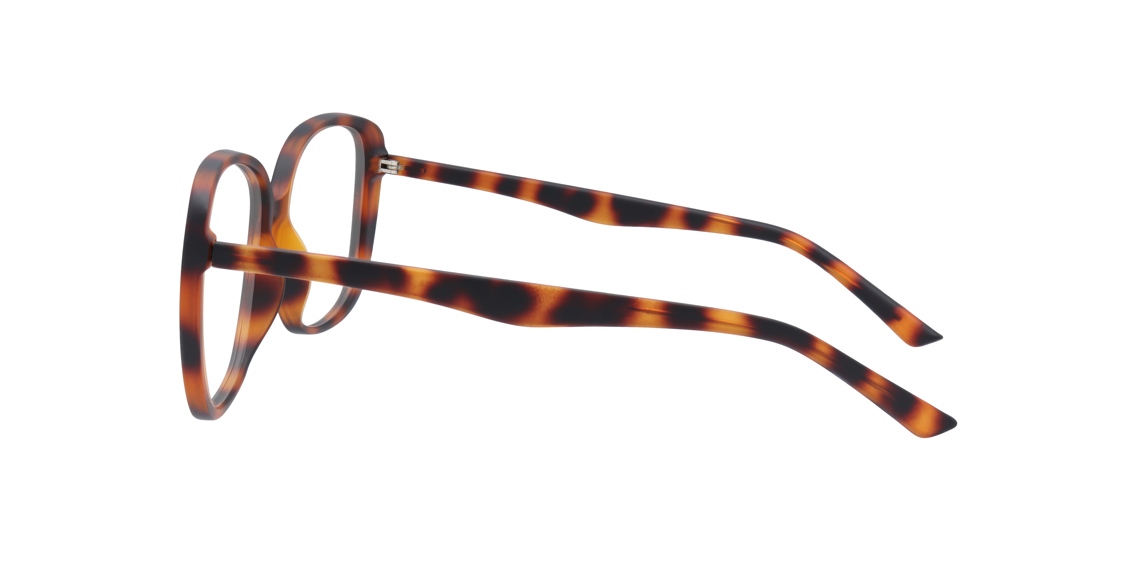 Becca Matte Havana PlasticEyeglass Frames for Glasses Direct, Side View