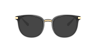 DG5071 Black PlasticEyeglass Frames for Glasses Direct, with Tinted Lenses