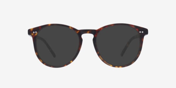 Matte Tortoise Logan 2 -  Acetate