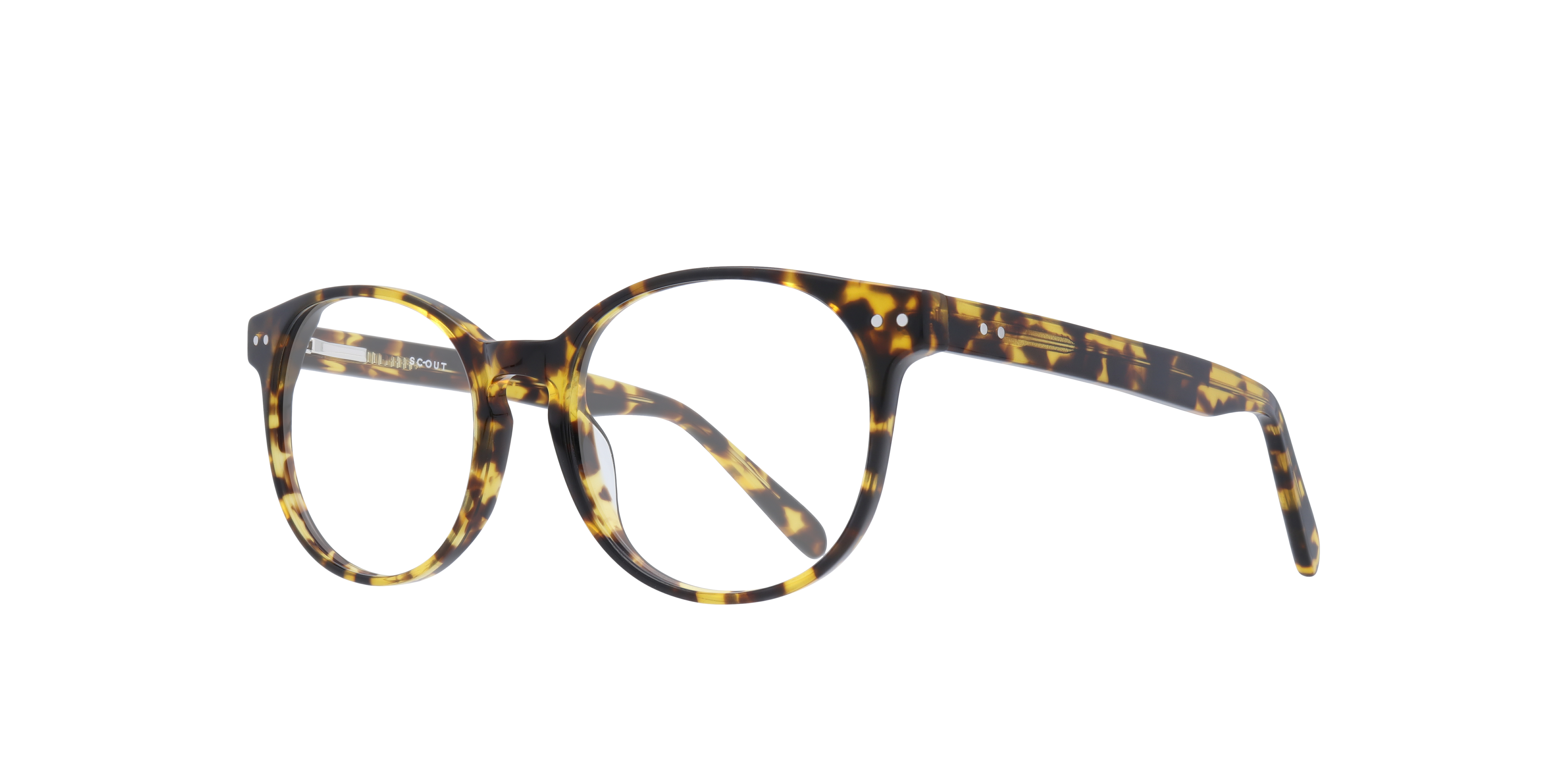 East Light Tortoise AcetateEyeglass Frames for Glasses Direct, Angle View