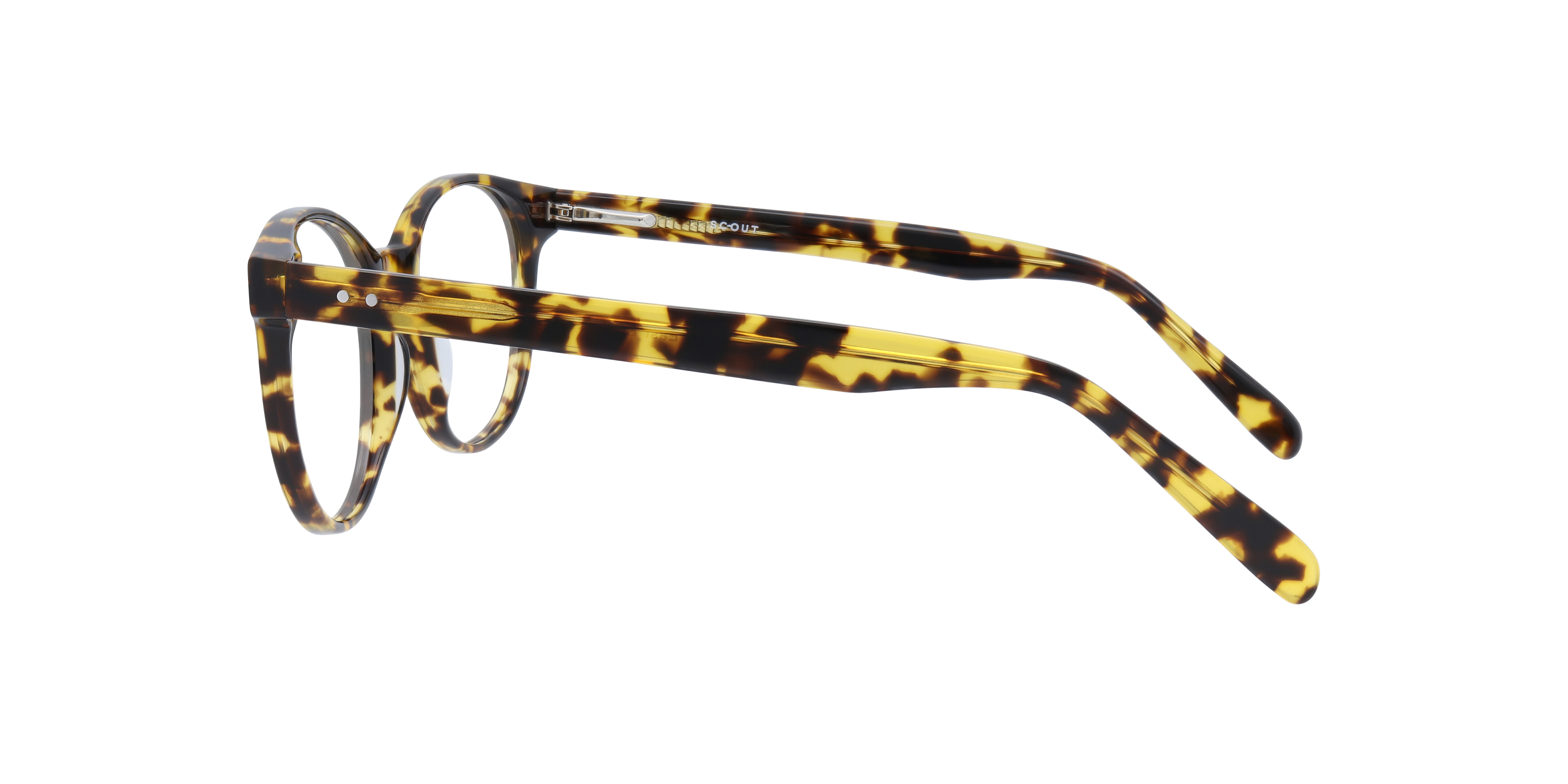 East Light Tortoise AcetateEyeglass Frames for Glasses Direct, Side View