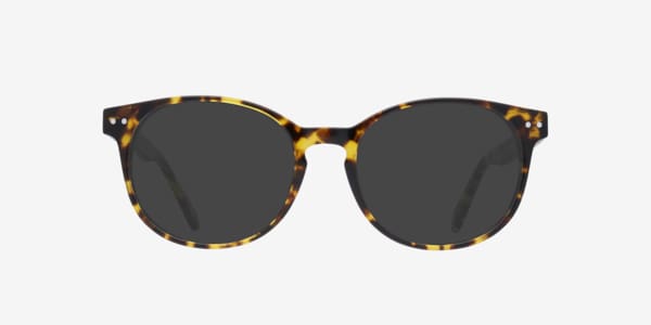 Light Tortoise East -  Acetate