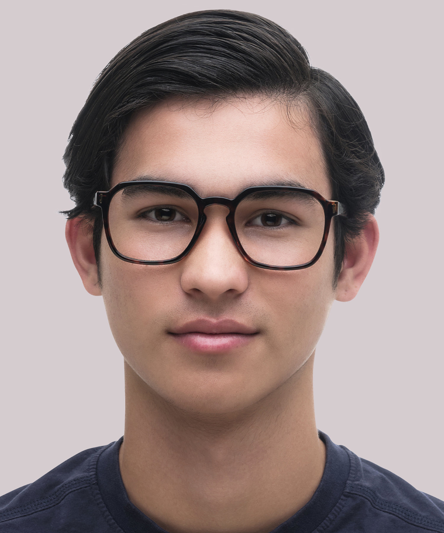 PLD D482 Tortoise PlasticEyeglass Frames for Men for Glasses Direct