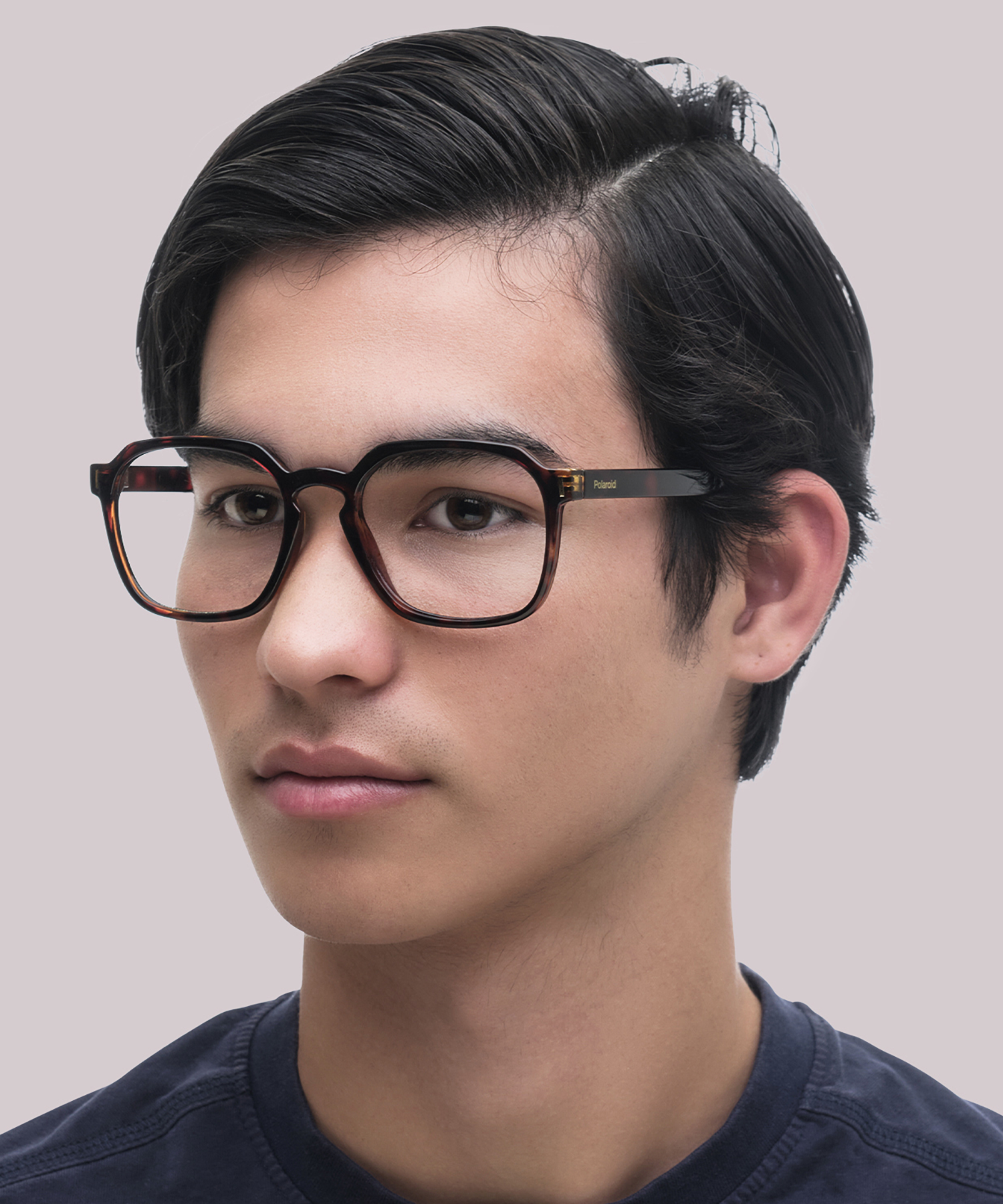 PLD D482 Tortoise PlasticEyeglass Frames for Men for Glasses Direct