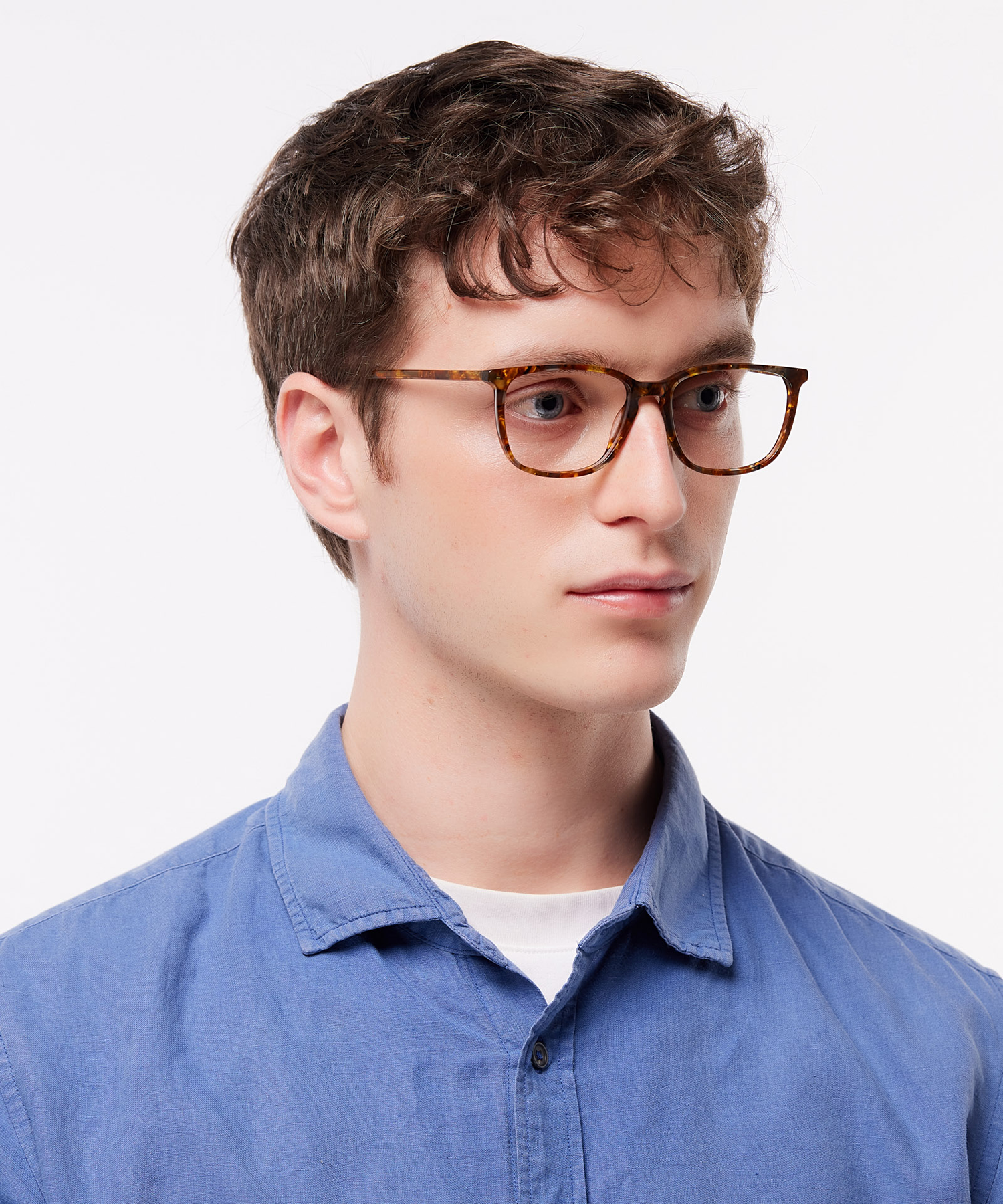 Lucas Fields Of Barley AcetateEyeglass Frames for Men for Glasses Direct