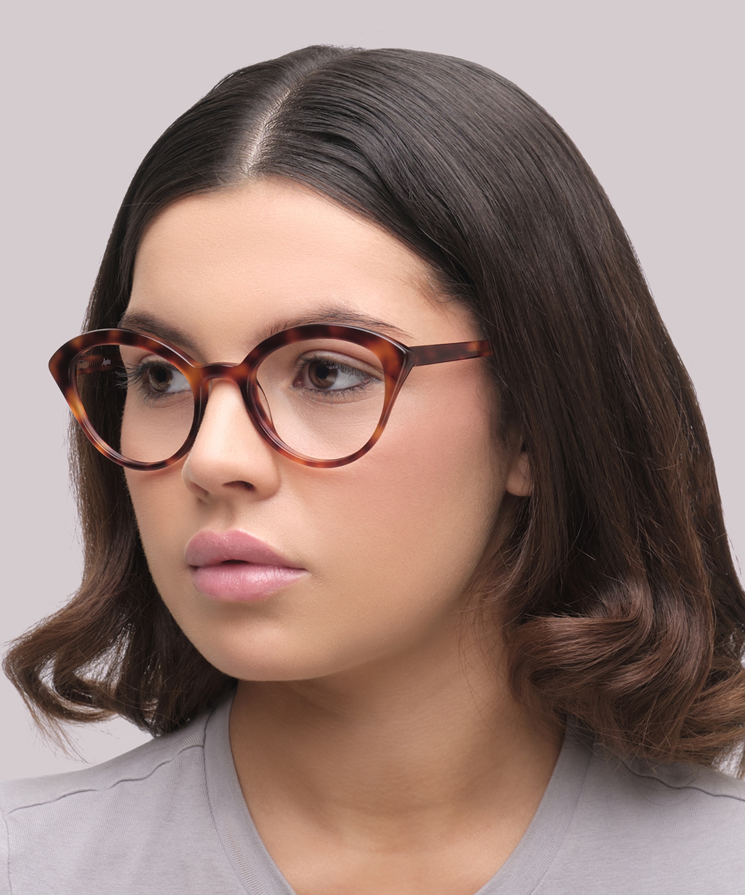 Harley Havana AcetateEyeglass Frames for Women for Glasses Direct