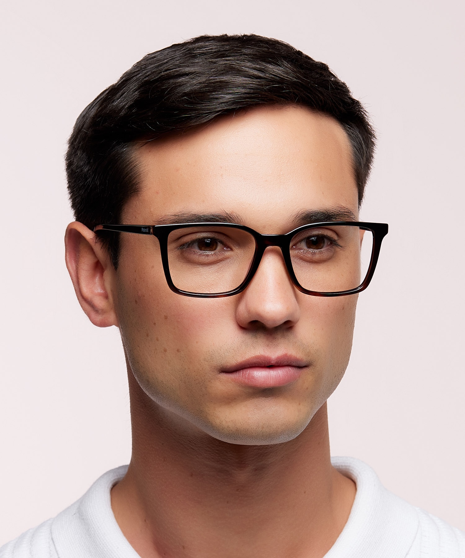PLD D499 Tortoise PlasticEyeglass Frames for Men for Glasses Direct