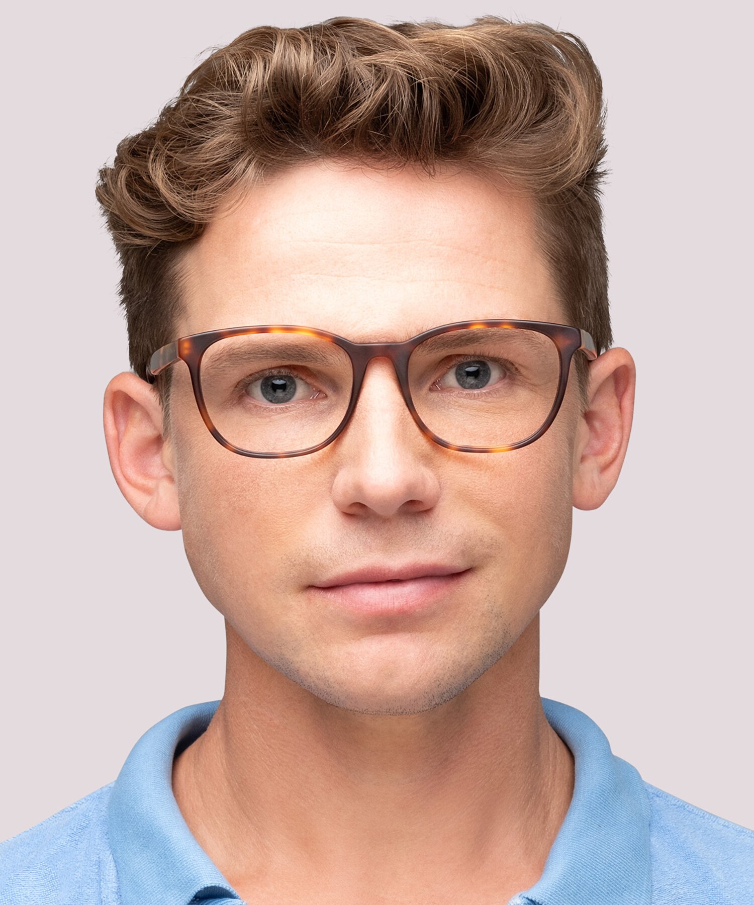 TB8241 Brown AcetateEyeglass Frames for Men for Glasses Direct