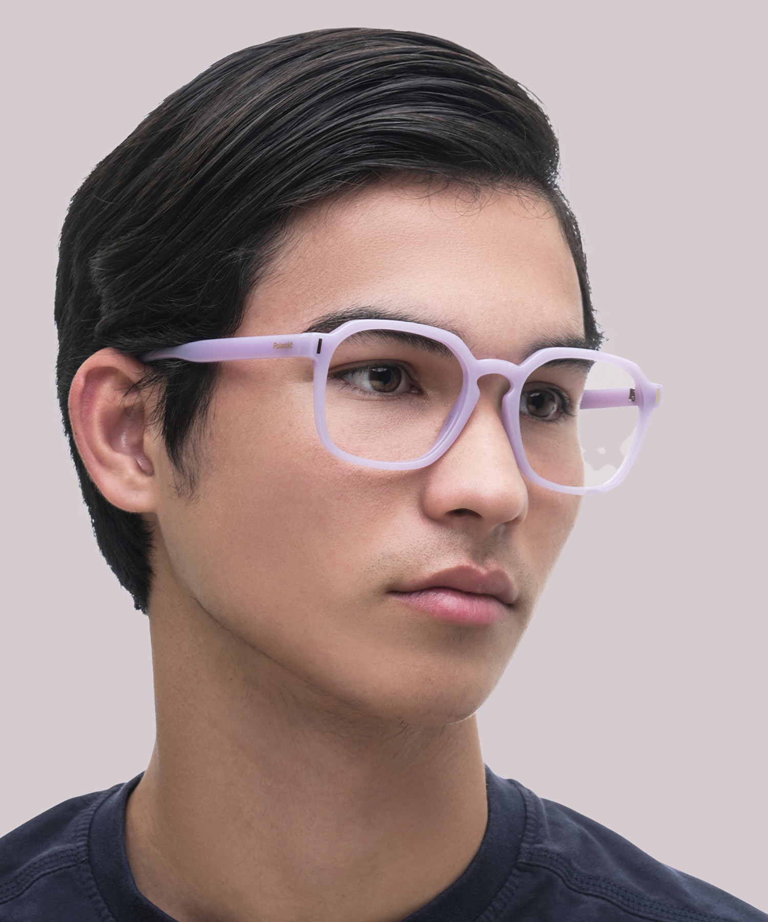 PLD D482 Purple Light PlasticEyeglass Frames for Men for Glasses Direct
