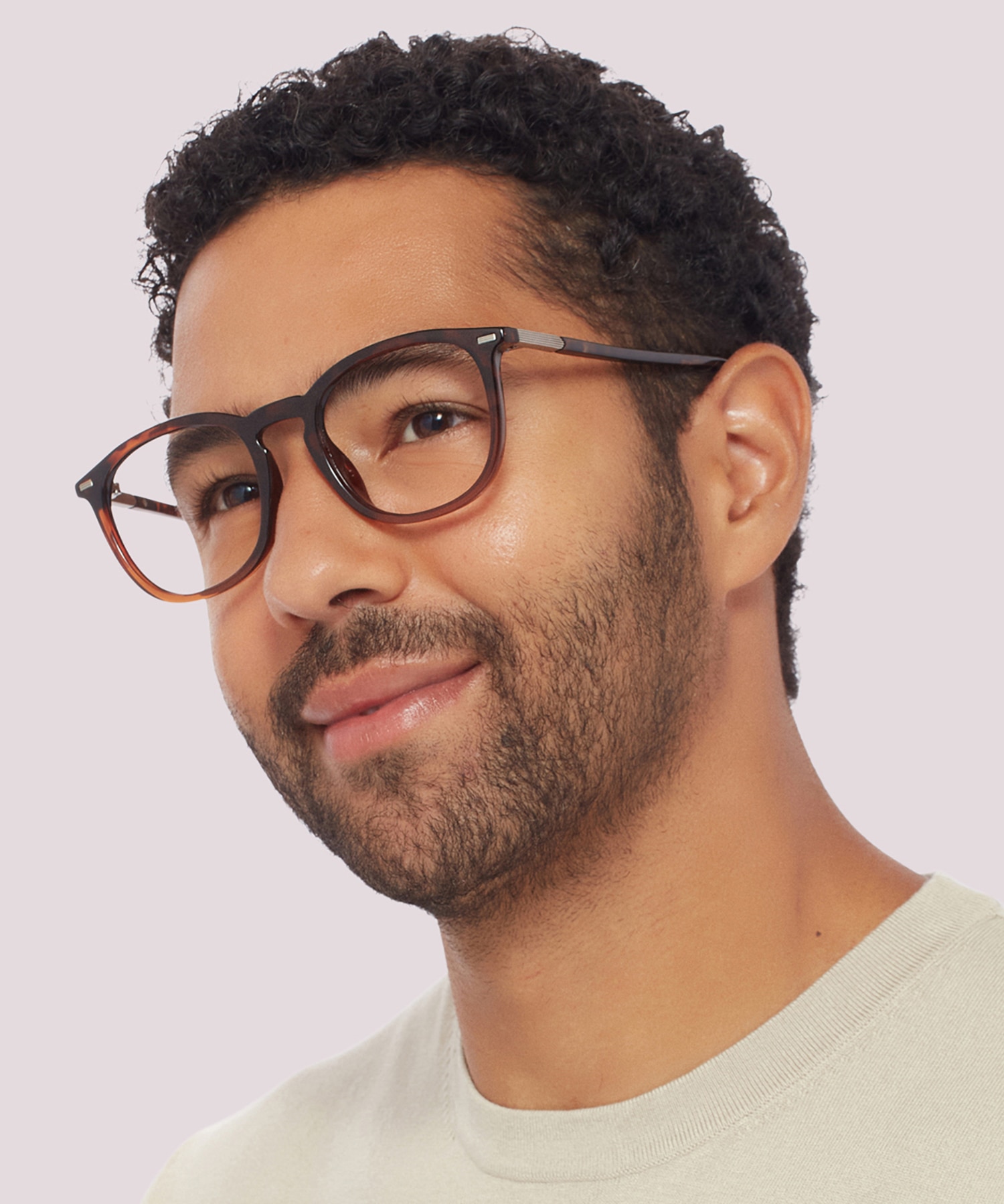 PLD D431/F Tortoise PlasticEyeglass Frames for Men for Glasses Direct
